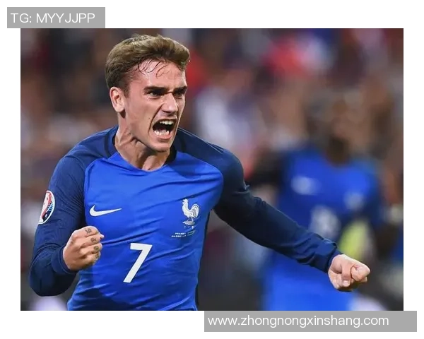 瑞典国家队足球明星的辉煌历程与未来展望