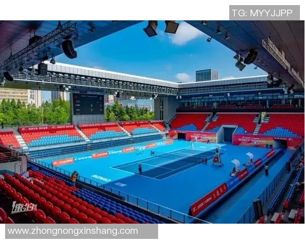 西安网球队在杯赛中的实力展现与战术分析