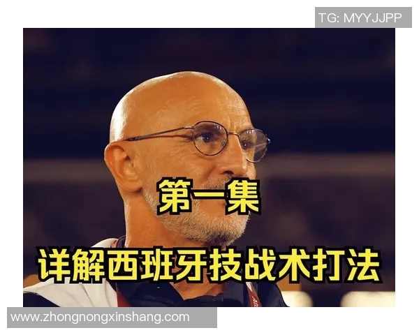 西班牙国家队在欧锦赛中的技术表现分析与战术布局探讨