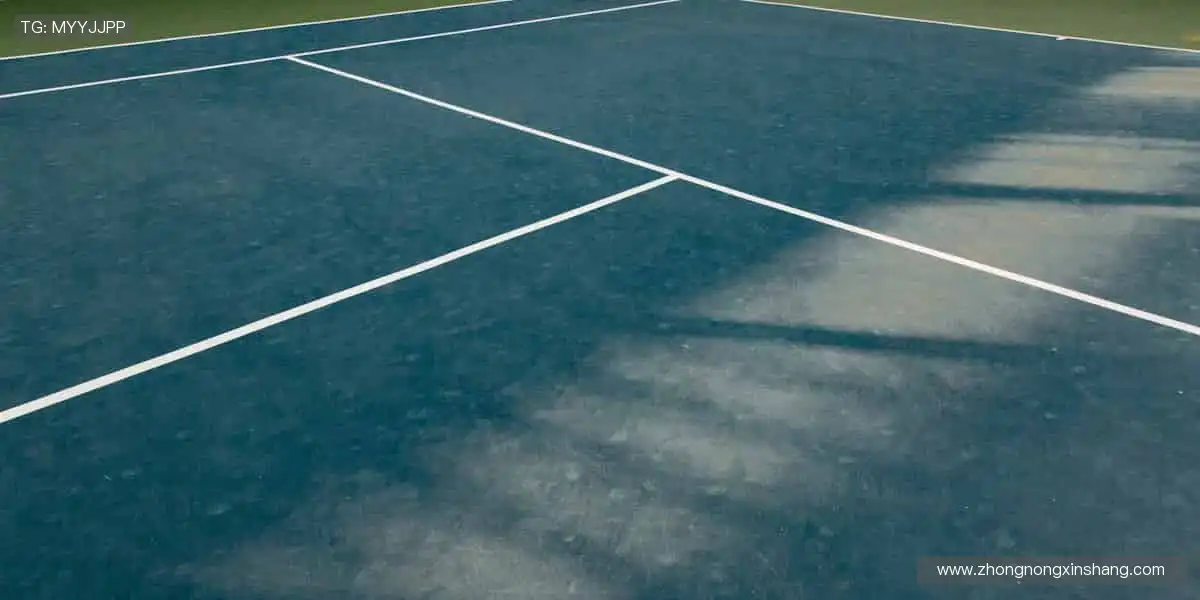 🎧赛事解说,声临其境!大咖解读,深度解析比赛战术🎙️